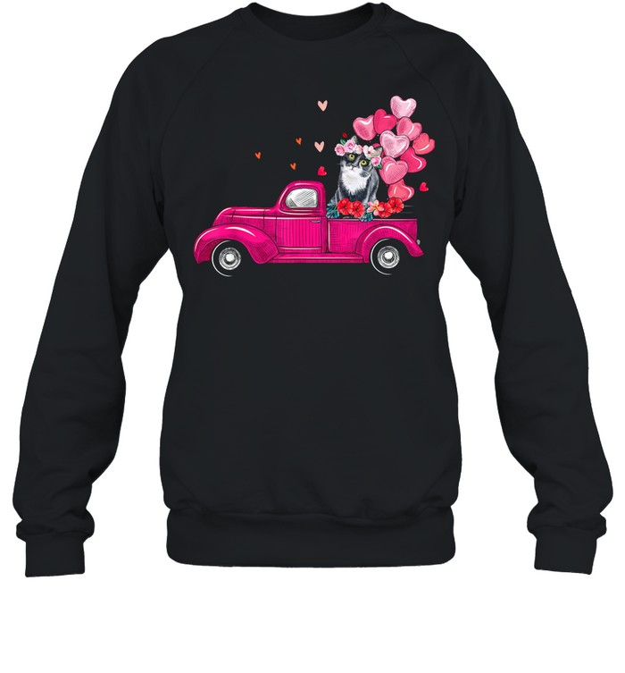 Cute Truck Cat Valentines Day Costume Boy Girl shirt Unisex Sweatshirt