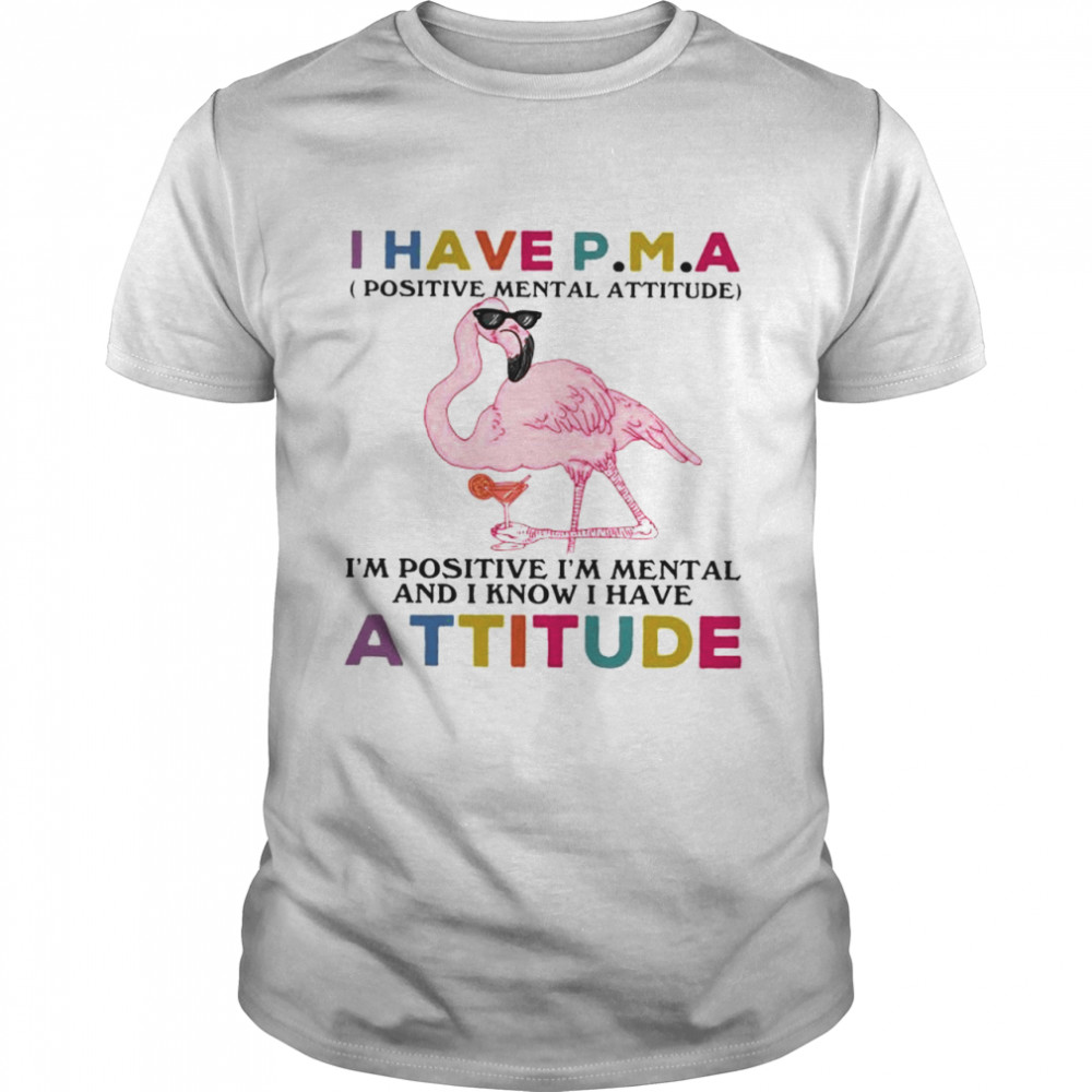Flamingo I have PMA Im positive Im mental and I know I have attitude shirt Classic Men's T-shirt