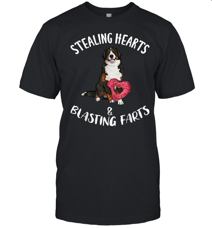 Stealing Heart Blasting Farts Bernese Mountain Dog Valentine shirts