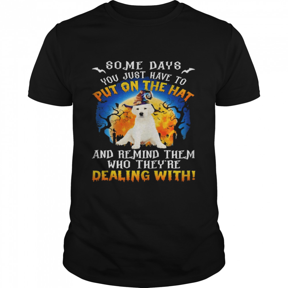 Labrador Remind Them Who Theyre Dealing With Halloween shirt Classic Men's T-shirt