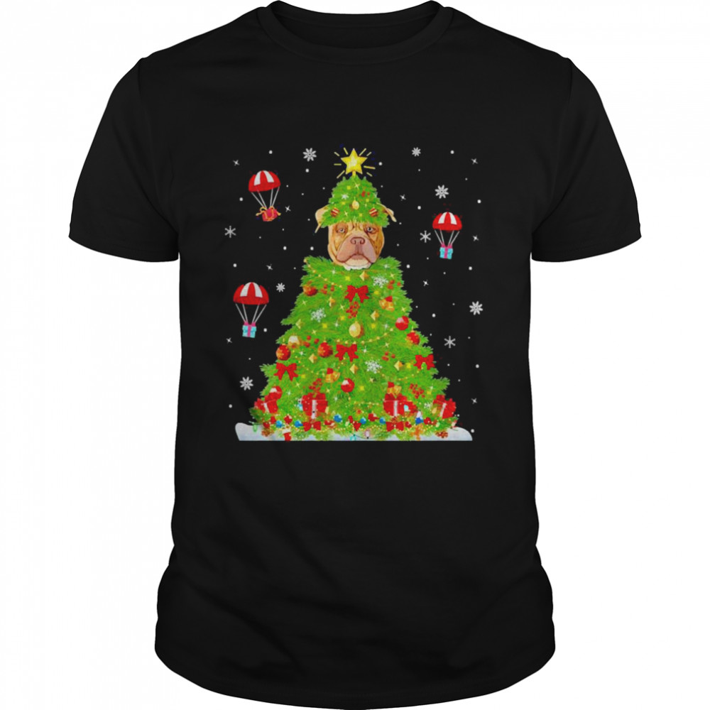 Xmass Lightss Matchings Familys Merles Dogs Christmass Trees Sweaters Shirts