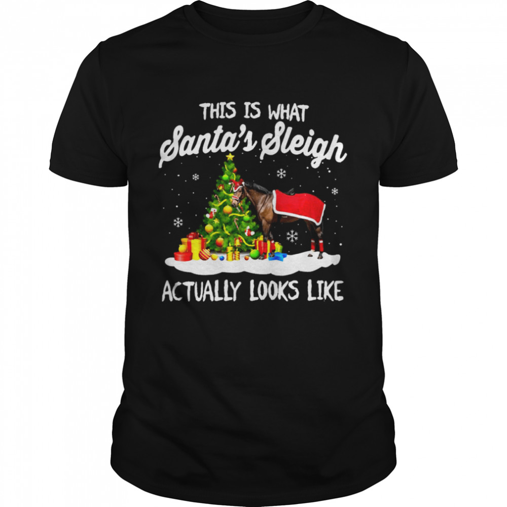 This Is What Santa’s Sleigh Actually Looks Like Christmas Sweater  Classic Men's T-shirt