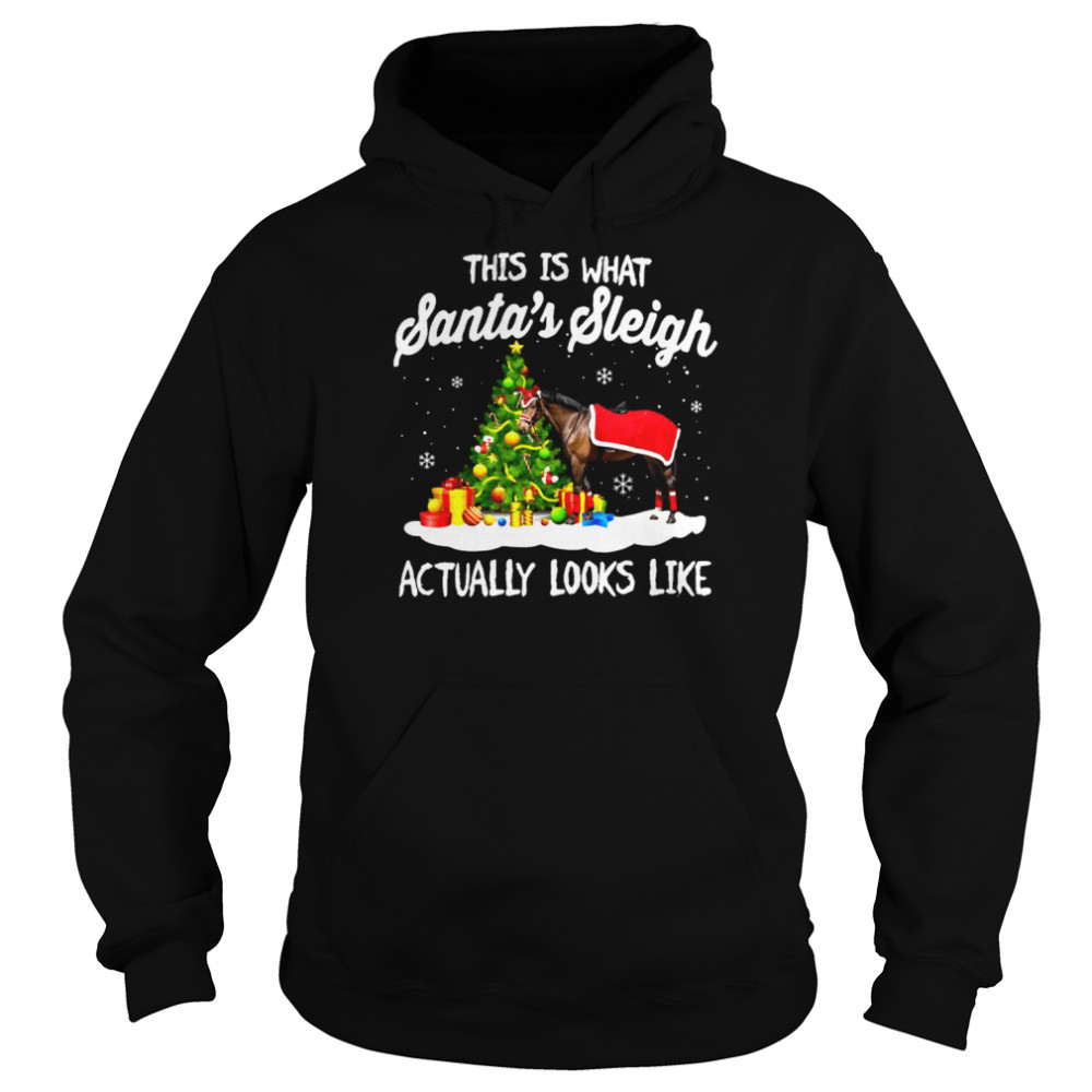 This Is What Santa’s Sleigh Actually Looks Like Christmas Sweater  Unisex Hoodie
