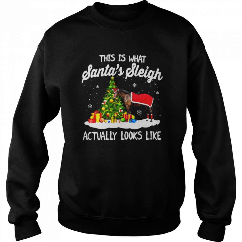 This Is What Santa’s Sleigh Actually Looks Like Christmas Sweater  Unisex Sweatshirt