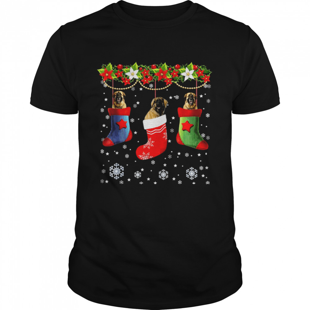 Three Leonberger Dog In Sock Christmas Santa Shirt