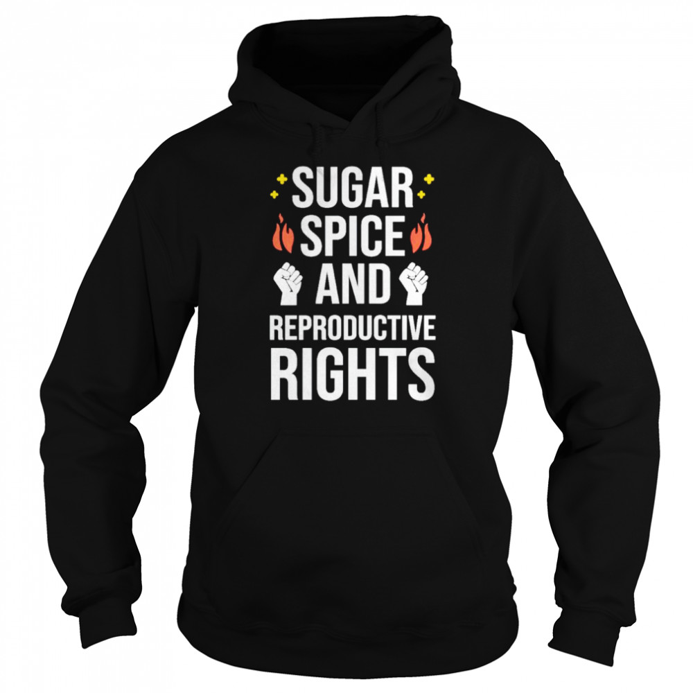Sugar spice and reproductive rights shirt Unisex Hoodie