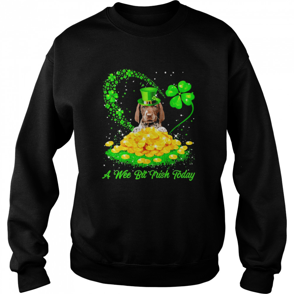 Irish Today German Shorthaired Pointer Dog A Wee Bit Irish Today Unisex Sweatshirt