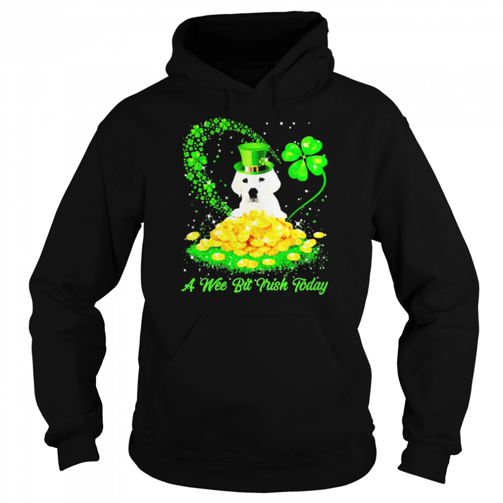 Irish Today White Labrador Dog A Wee Bit Irish Today Unisex Hoodie