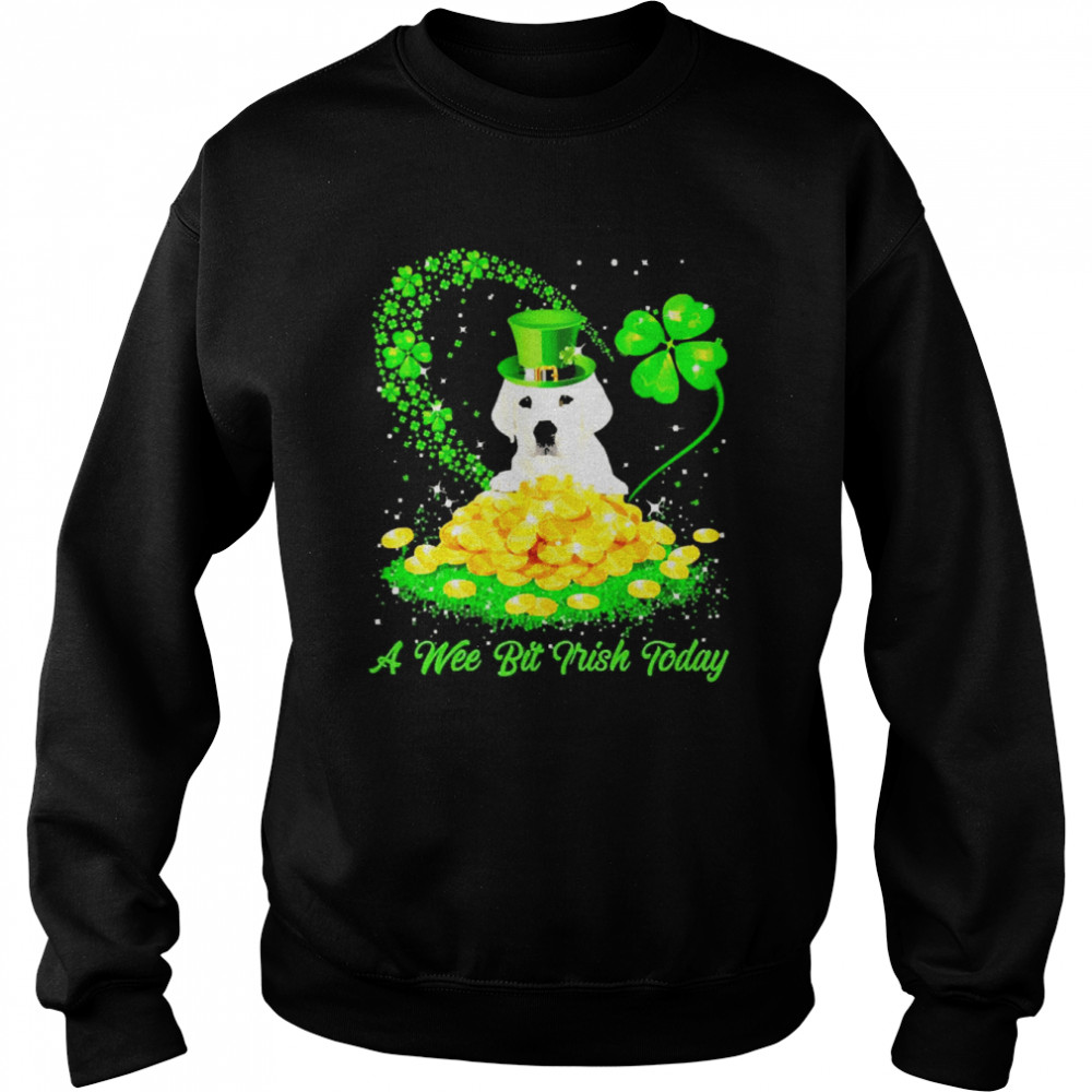 Irish Today White Labrador Dog A Wee Bit Irish Today Unisex Sweatshirt