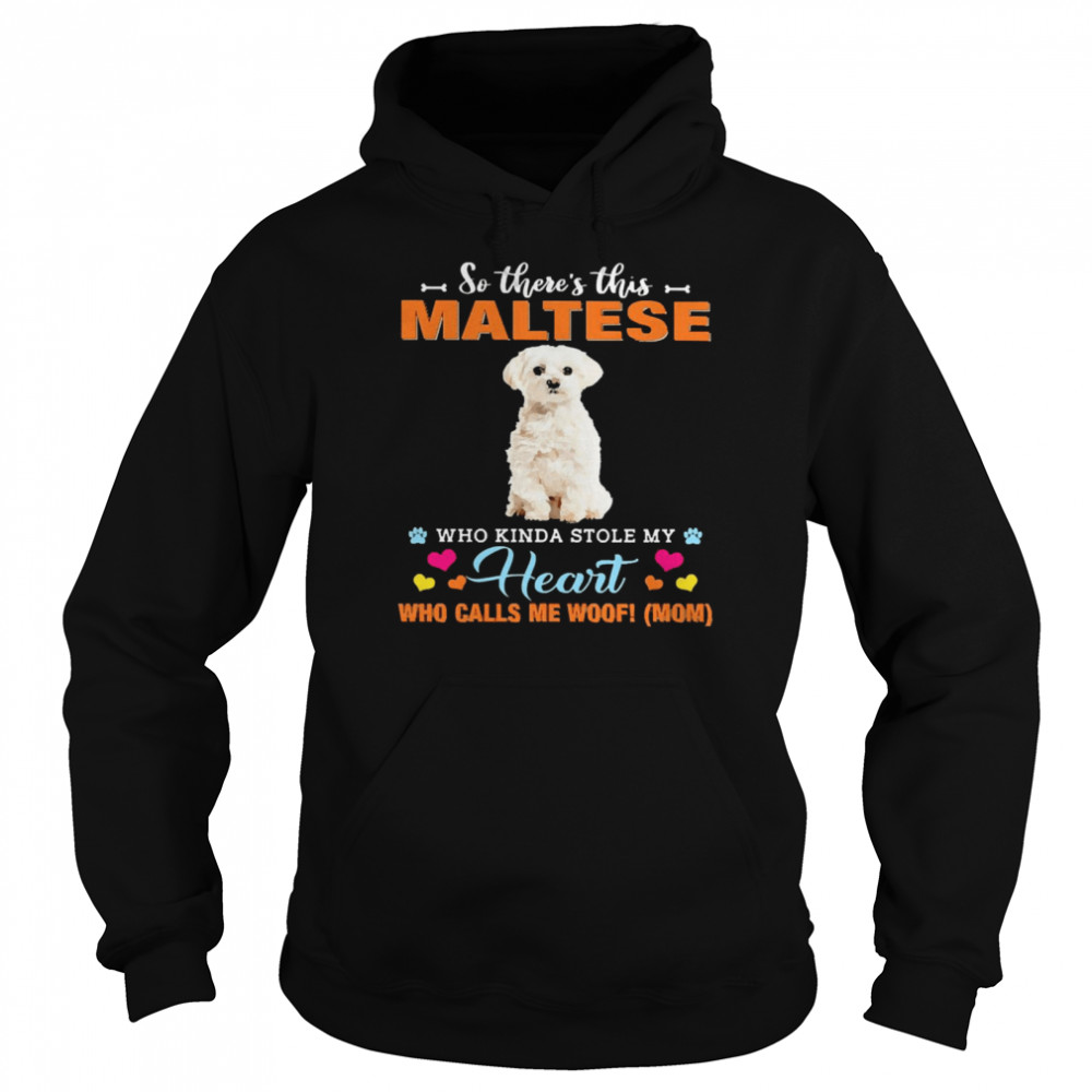 Official a Dog Kinda Stole My Heart So There’s This White Maltese Who Kinda Stole My Heart Who Calls Me Woof Mom Unisex Hoodie