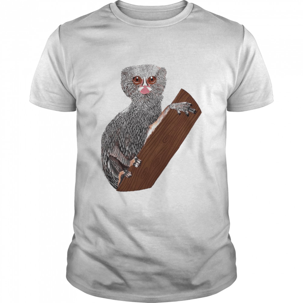 Pygmys Marmosets arts shirts