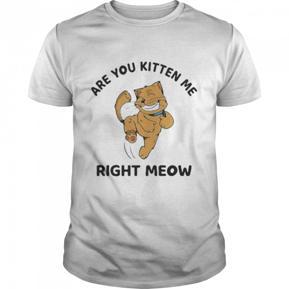 Are You Kitten Me Right Meow Unisex Ultra Cotton T-Shirt