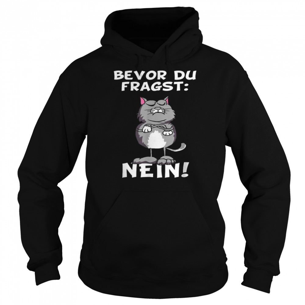 Bevor du fragst Nein Katze Ironic Slogan Funny Unisex Hoodie