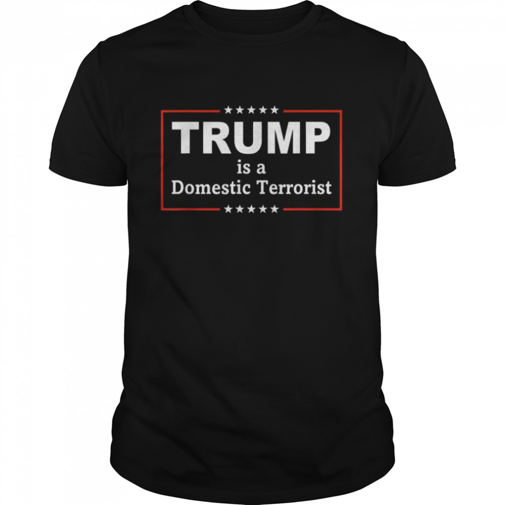 Trump is a domestic terrorist quote 2022 tee shirts