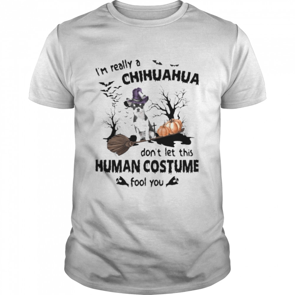 Blacks Chihuahuas Dogs Is’ms Reallys As Chihuahuas Dons’ts Lets Thiss Humans Costumes Fools Yous Halloweens Shirts
