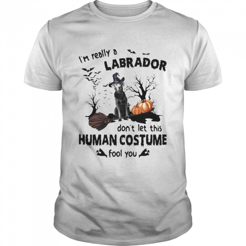 Silver Labrador Dog I’m Really A Labrador Don’t Let This Human Costume Fool You Halloween  Classic Men's T-shirt