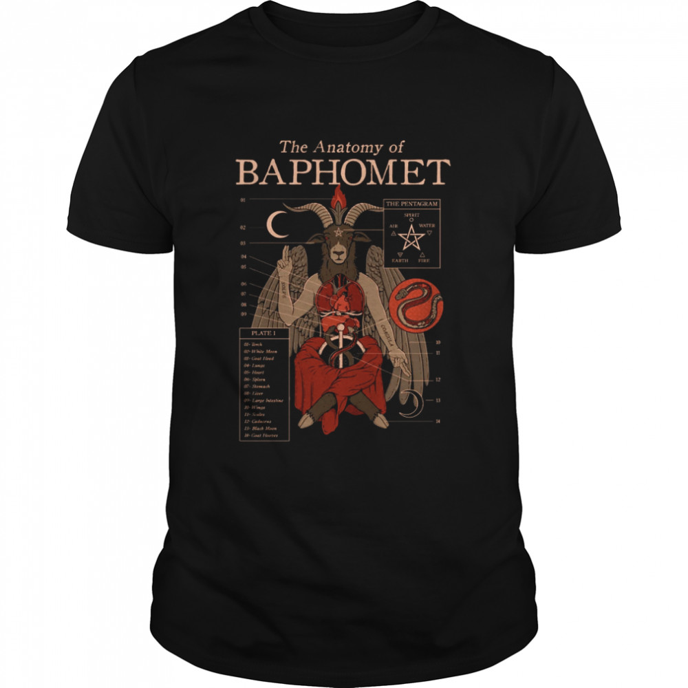 The Anatomy Of Baphomet Pastel Goth Harajuku Cryptid Kawaii shirt