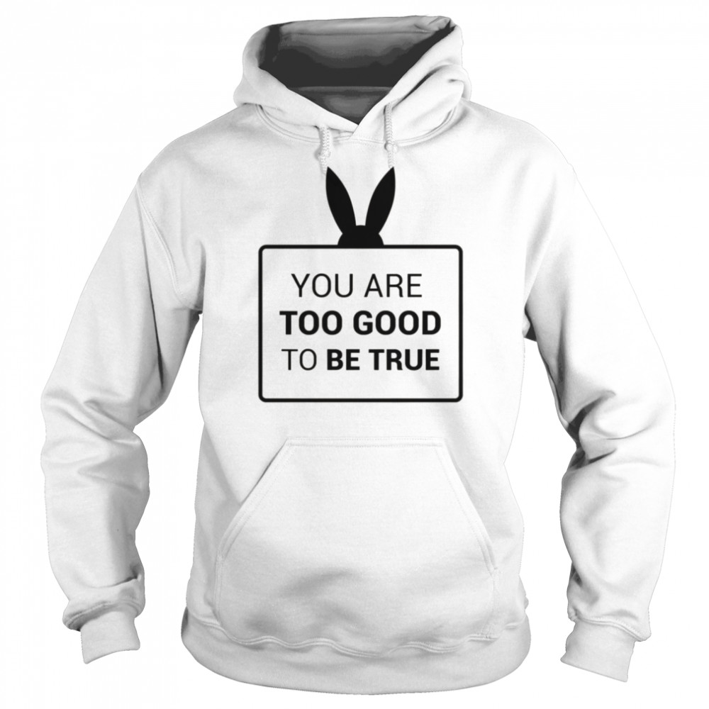 You Are Too Good To Be True shirt Unisex Hoodie