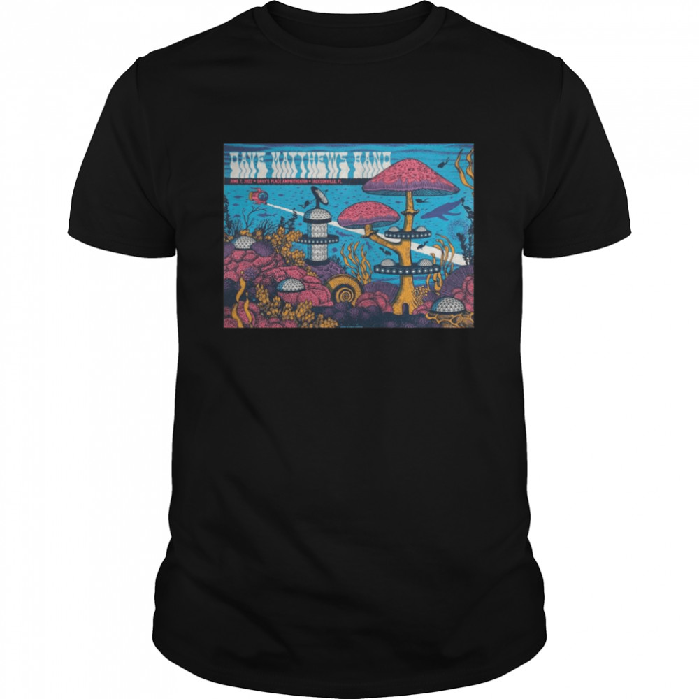 Status Serigraph Dave Matthews Band Jacksonville Poster Artist Edition 2022 shirts