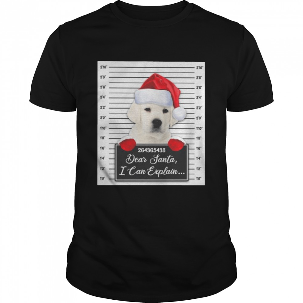 Santa White Labrador dear santa I can explain 2022 Christmas shirts